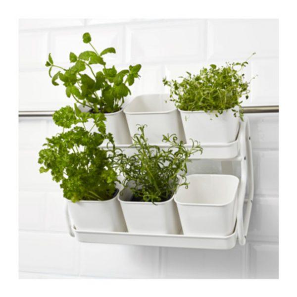 Socker Plant Pot with Holder